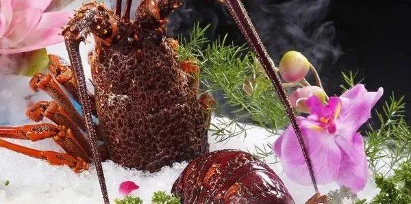 波士顿龙虾和澳洲龙虾区别-波士顿龙虾和澳洲龙虾的区别