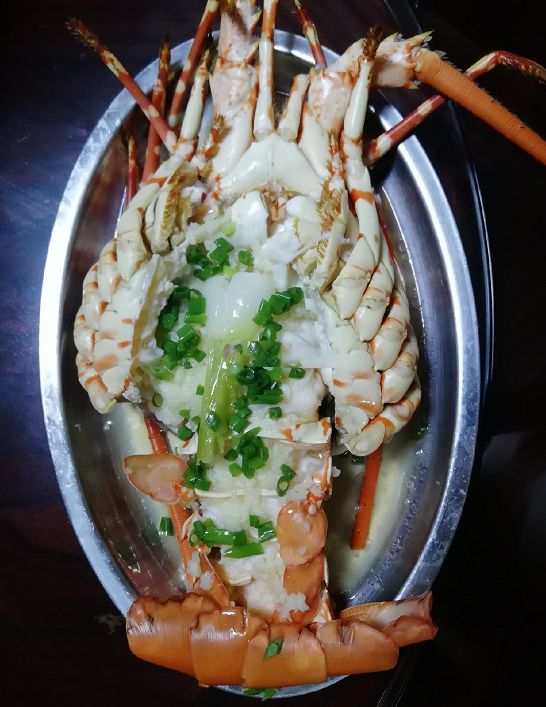 澳虾和波士顿龙虾_澳洲龙虾跟波士顿龙虾哪个贵_波士顿龙虾和澳洲龙虾区别