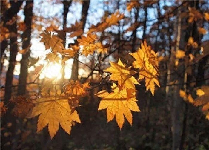 岁月无恙的下一句是什么_岁月无恙_岁月无恙什么意思