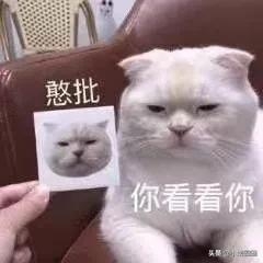 海底捞学生证优惠政策_2021海底捞学生证怎么认证_海底捞学生证