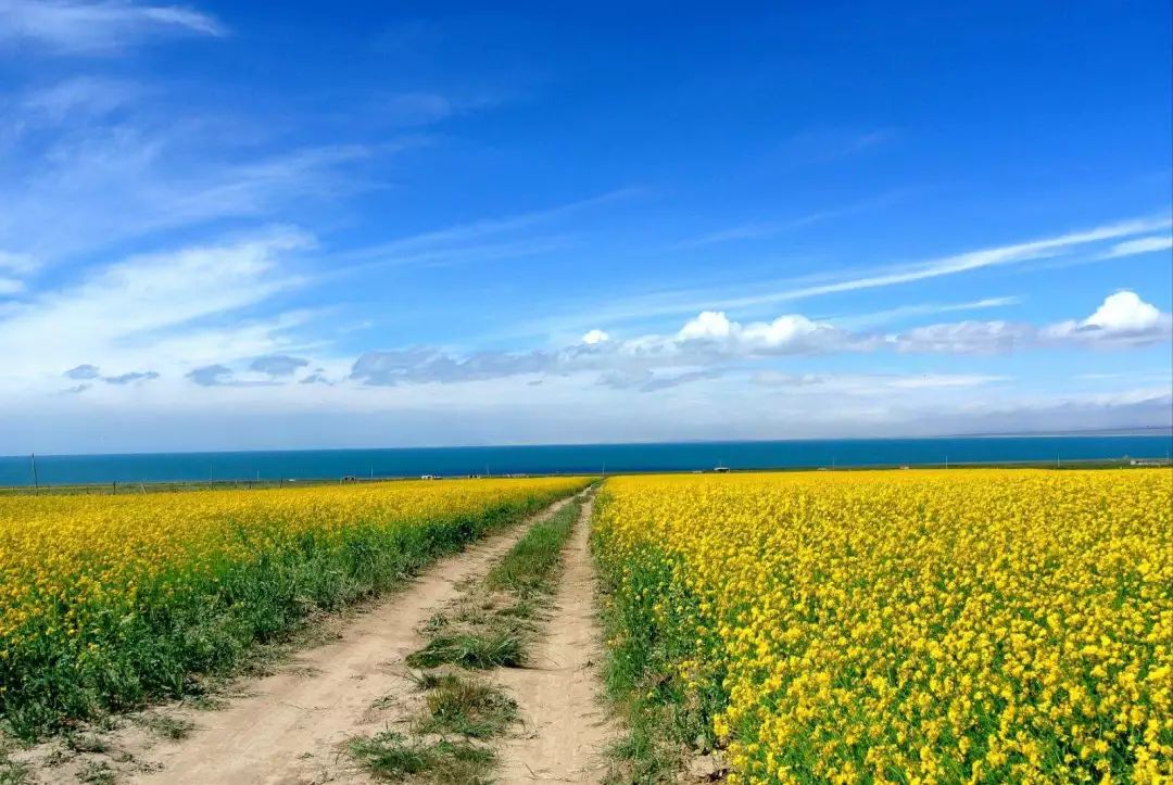 宝藏攻略 | 搞懂西北美食与当地特产，让你的青海湖之行没有遗憾