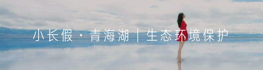 西北美食_西北美食赞美词句_西北美食文案