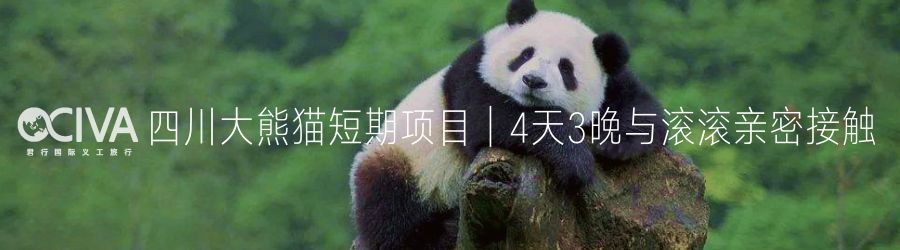 西北美食赞美词句_西北美食文案_西北美食