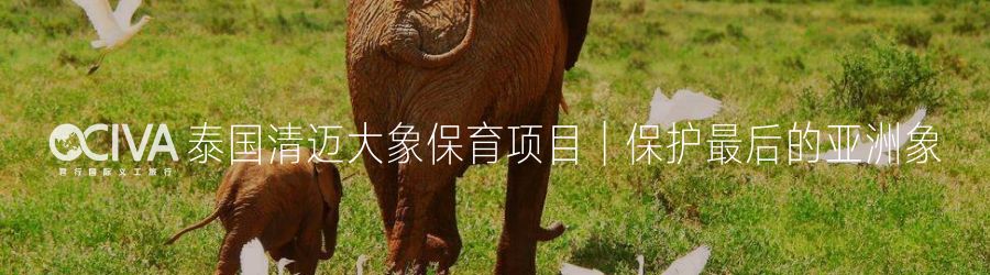 西北美食_西北美食赞美词句_西北美食文案