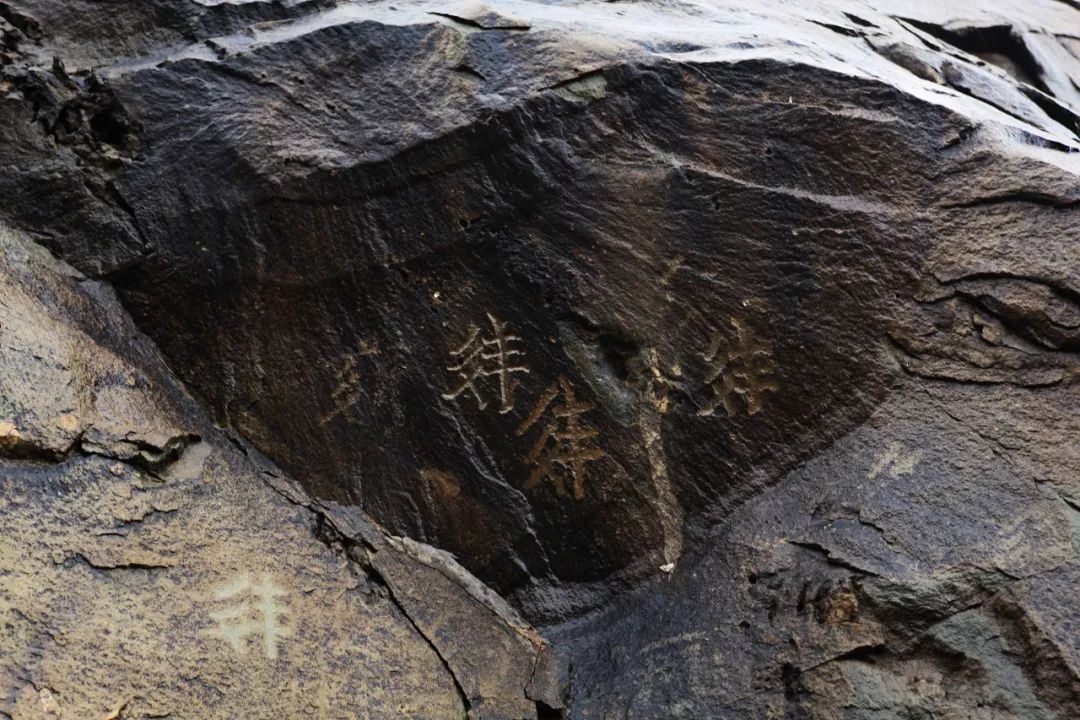 西北美食特色美食_西北美食_西北美食文案