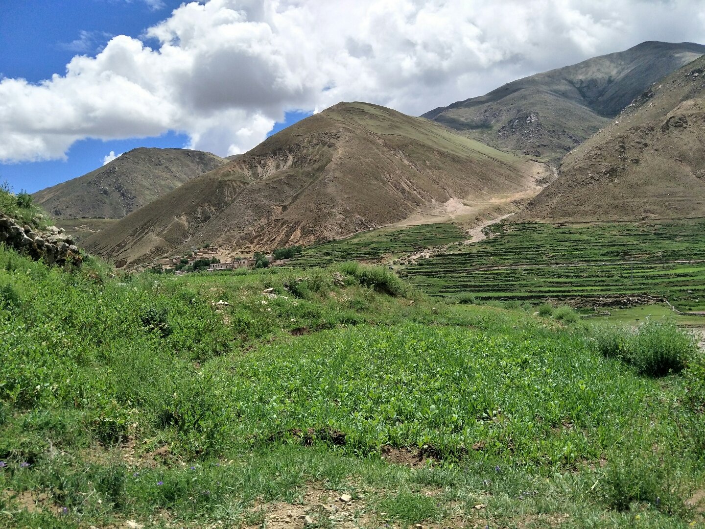 西藏边境县米林、错那撤县设市，分别由林芝市、山南市代管