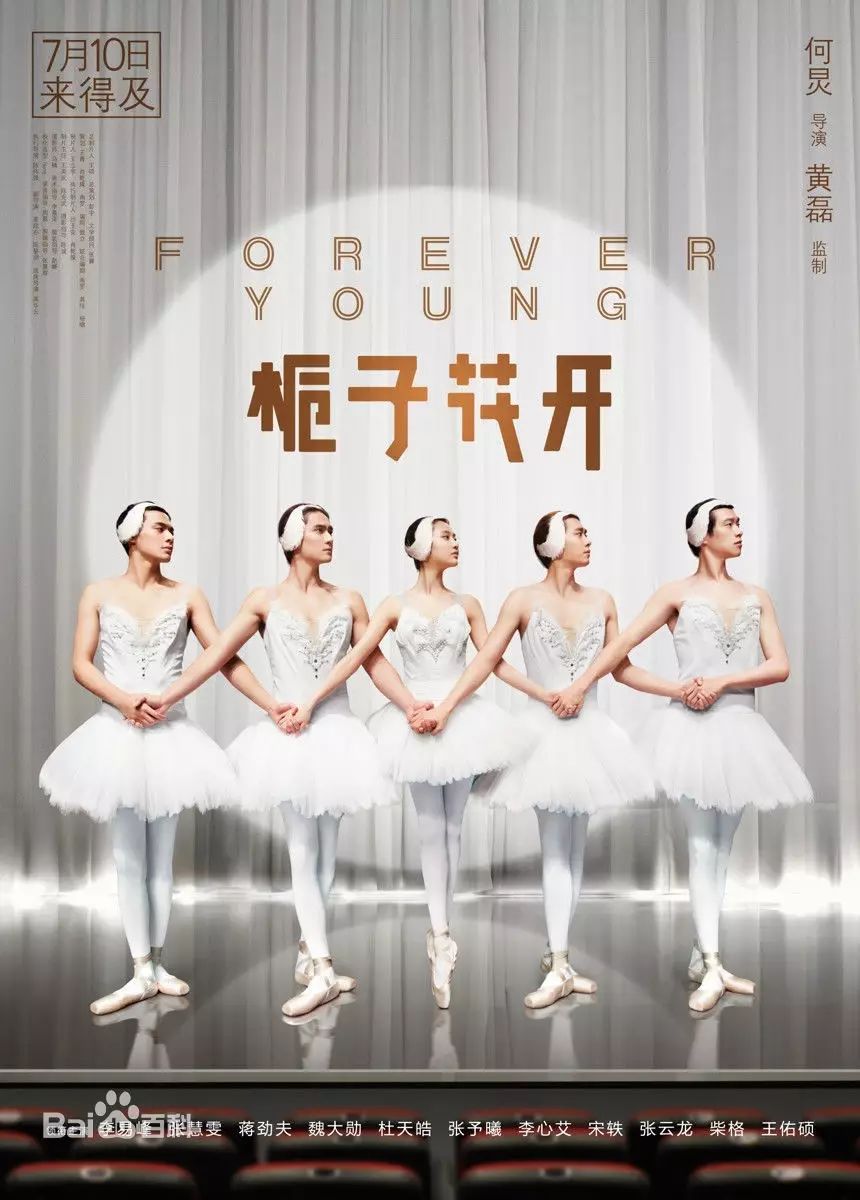 出品人是干什么的-《光辉岁月》制片人,《栀子花开》出品人