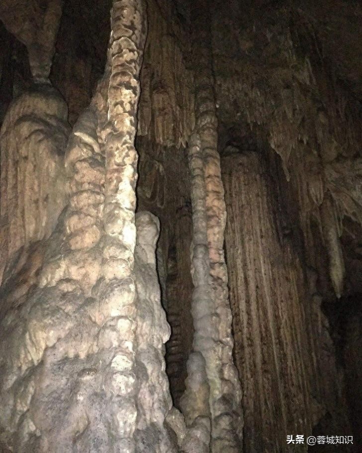 遵义特产_遵义特产_遵义特产