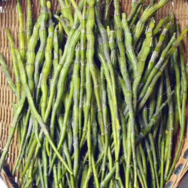 遵义特产_遵义特产能带走的特产_遵义特产