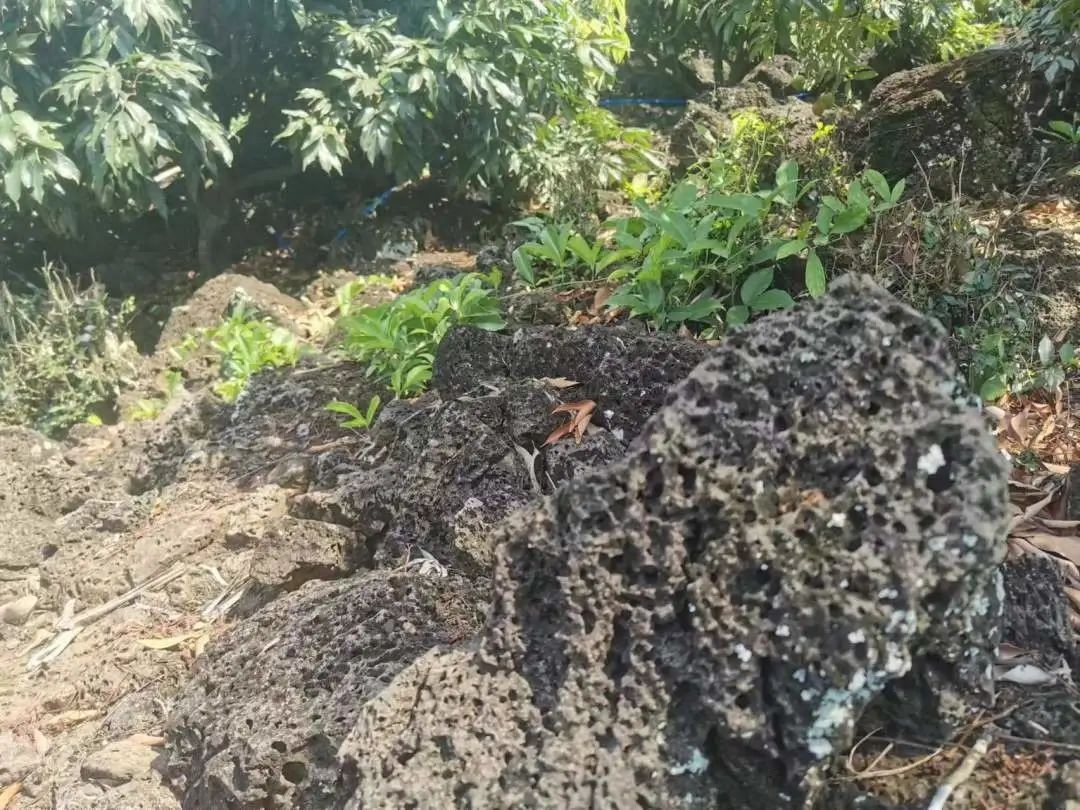 海口火山口风景区_火山口海南_海口火山口