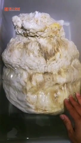 黑太岁-在线请教！我在昆明宜良捡到的是“太岁”吗？