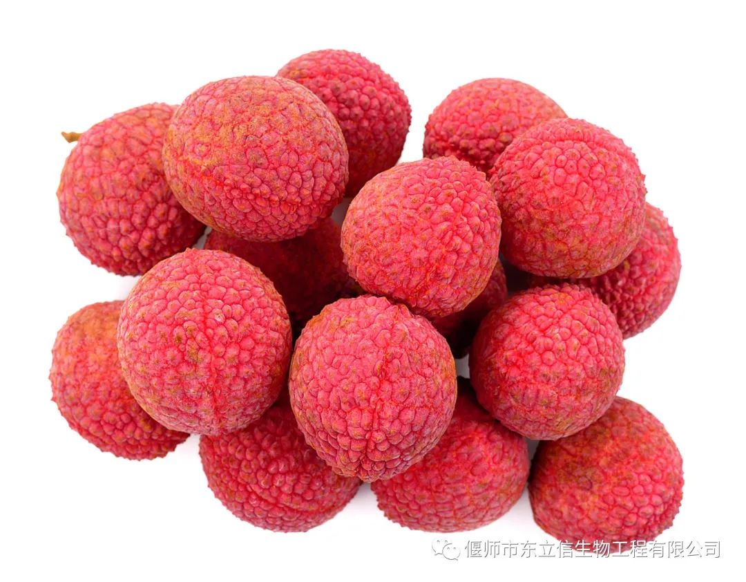 荔枝能保存多久_保存荔枝的方法_保存荔枝的最好方法