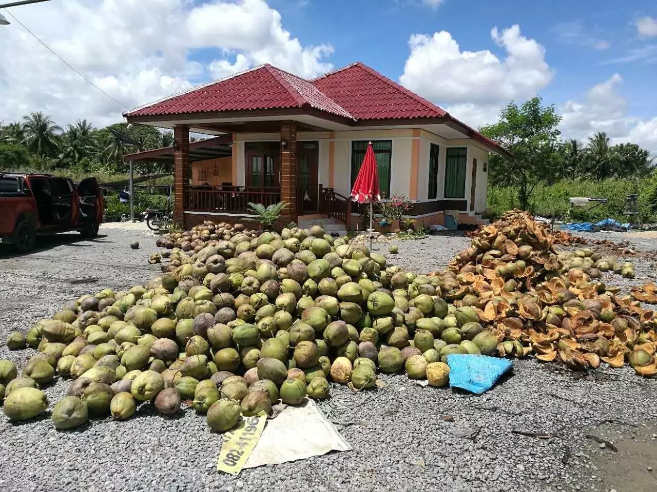 海南清补凉_海南清补凉_海南清补凉