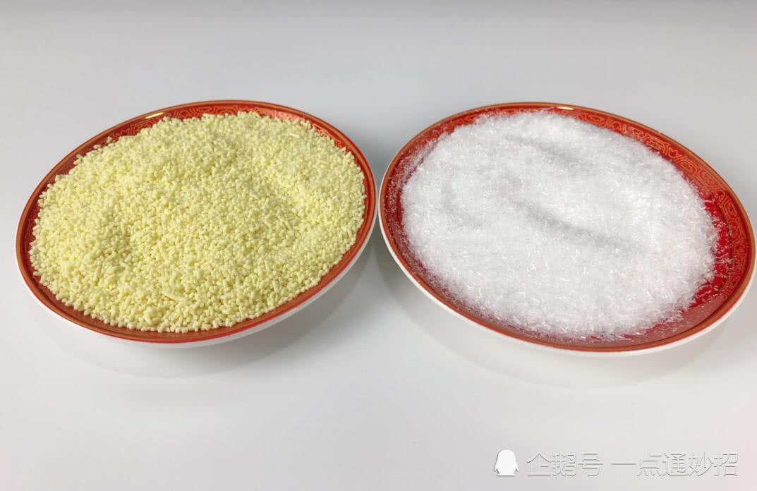 味精是什么做的-味精高温加热后会不会有害？5个关于味精的真相，你应该知道！