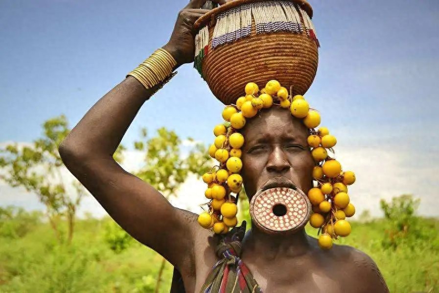 唇盘是干什么用的_唇盘_唇盘是怎么弄的