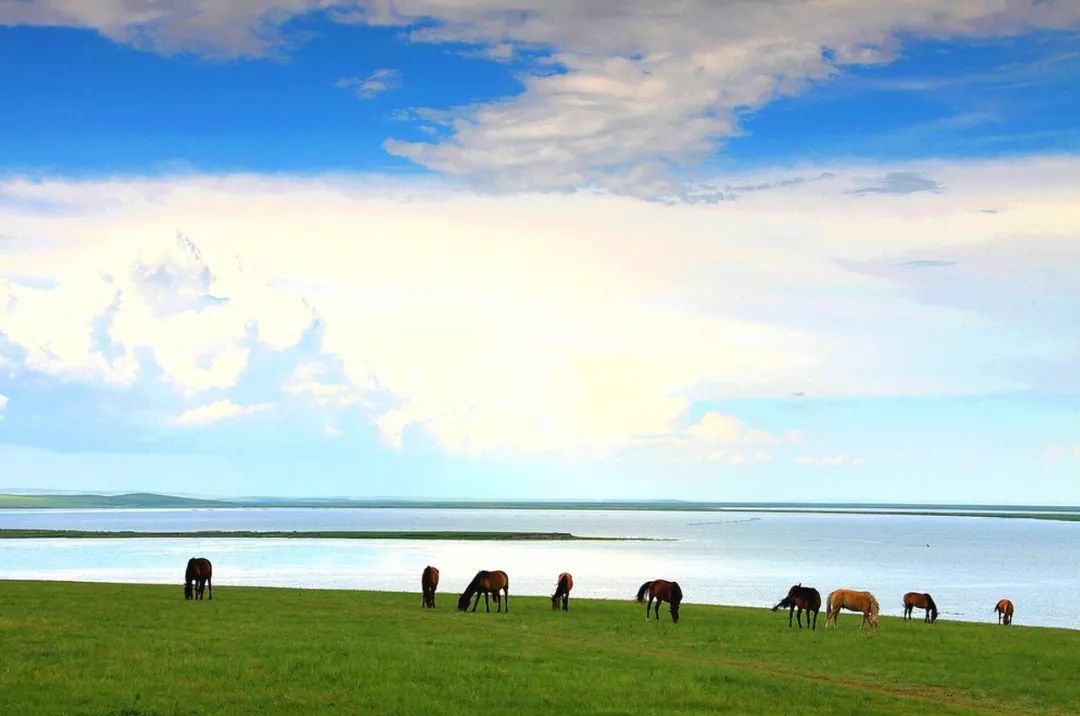 鲜卑族是现在哪个民族_鲜卑族现在是朝鲜族吗_鲜卑族是现在的