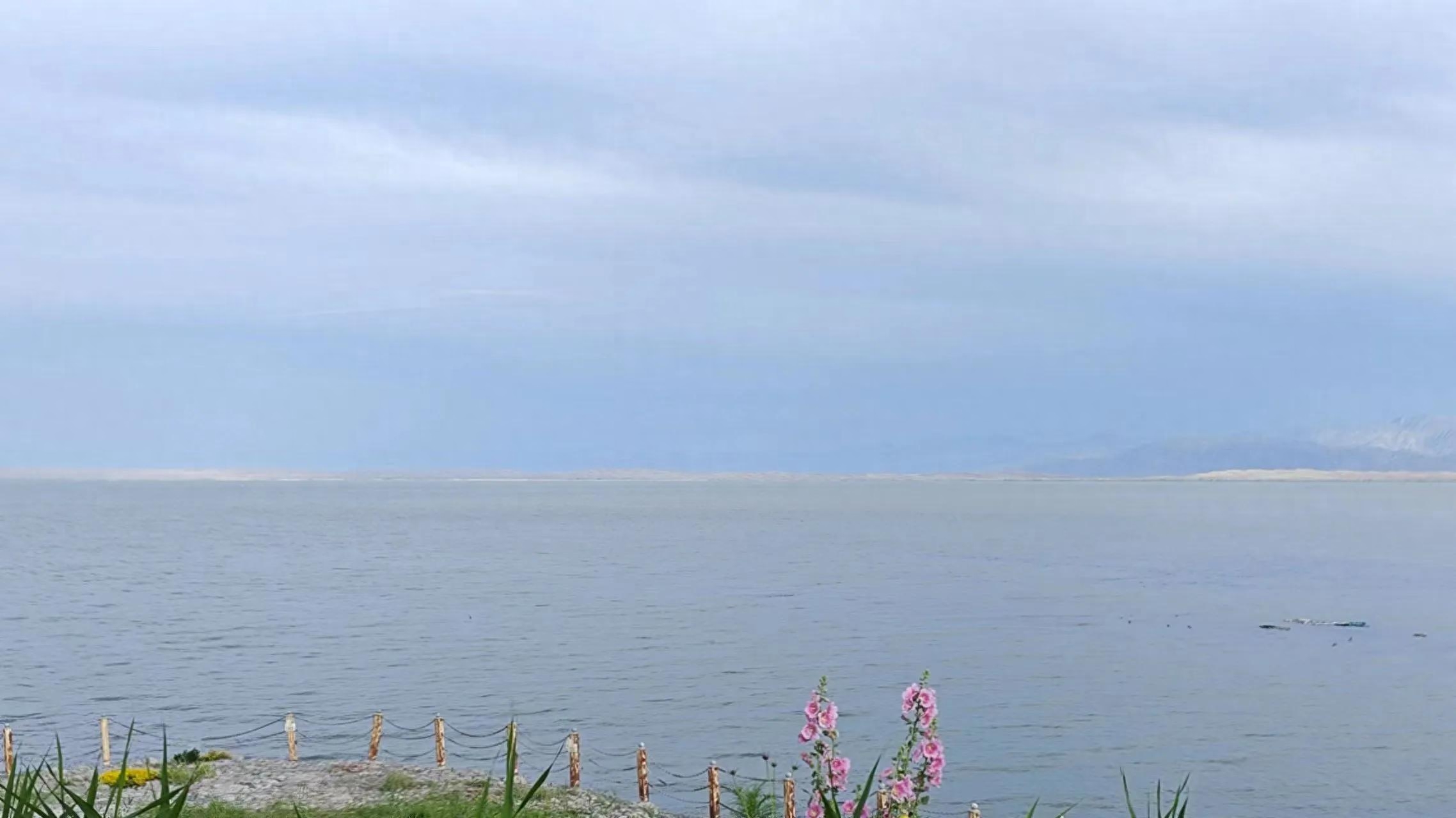 师道之传不久矣_师道传道受业解惑_师道之不传也久矣