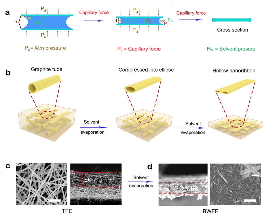 渗透体积力_体积力_渗透力是一种体积力