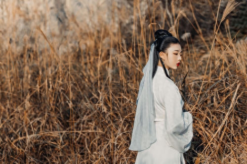 鱼玄机的诗最美的诗_鱼玄机最著名的诗_鱼玄机千古名句