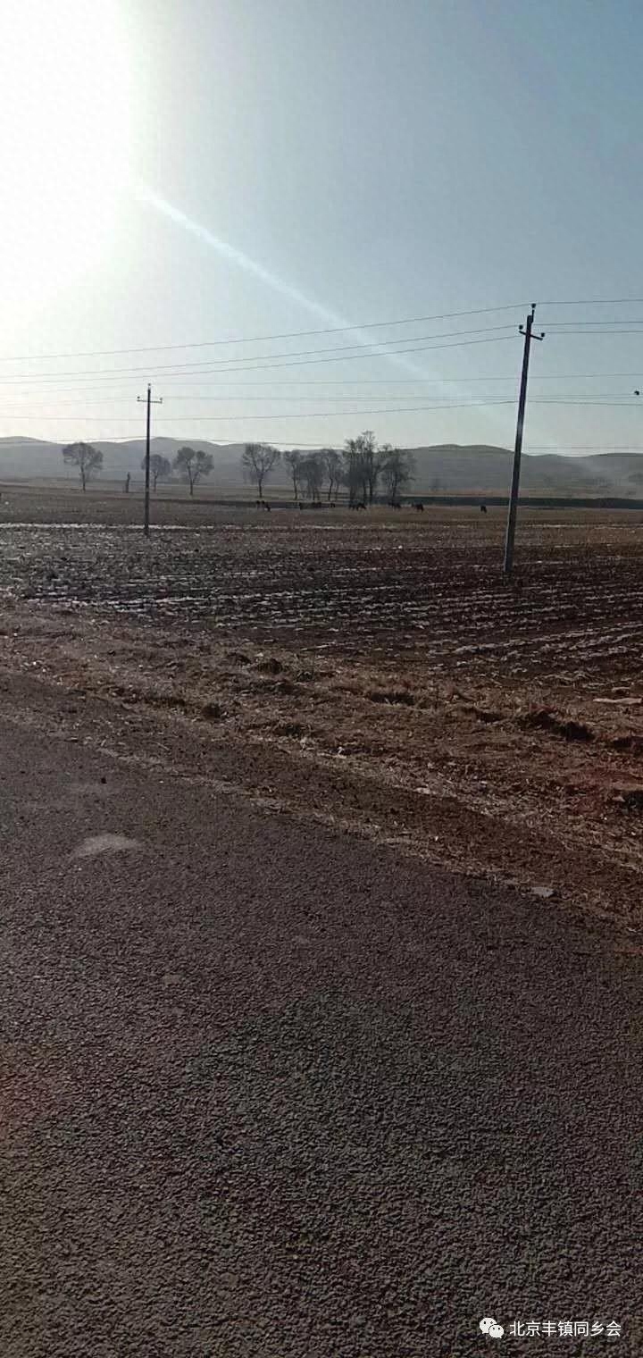 槽头肉-说说丰镇杀猪菜（二）