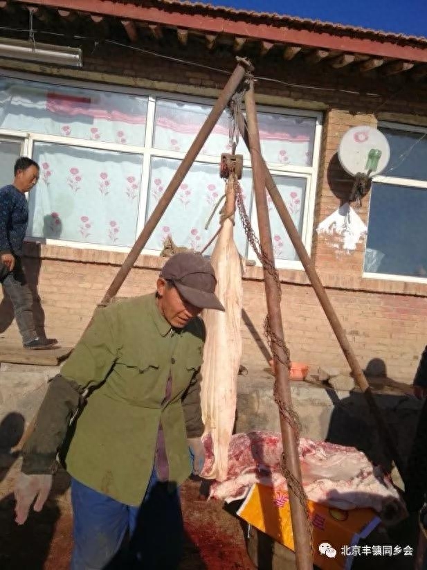 槽头肉_槽头肉_槽头肉