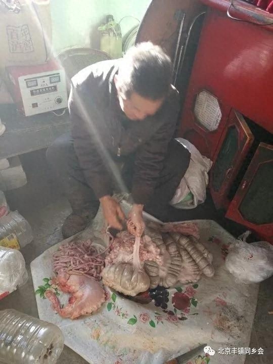 槽头肉_槽头肉_槽头肉