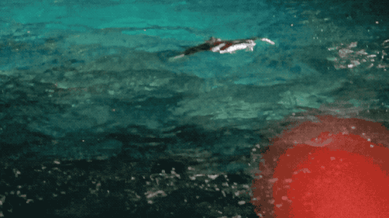 老妹儿_老妹儿你真美_老妹儿啊你等会儿啊是什么歌