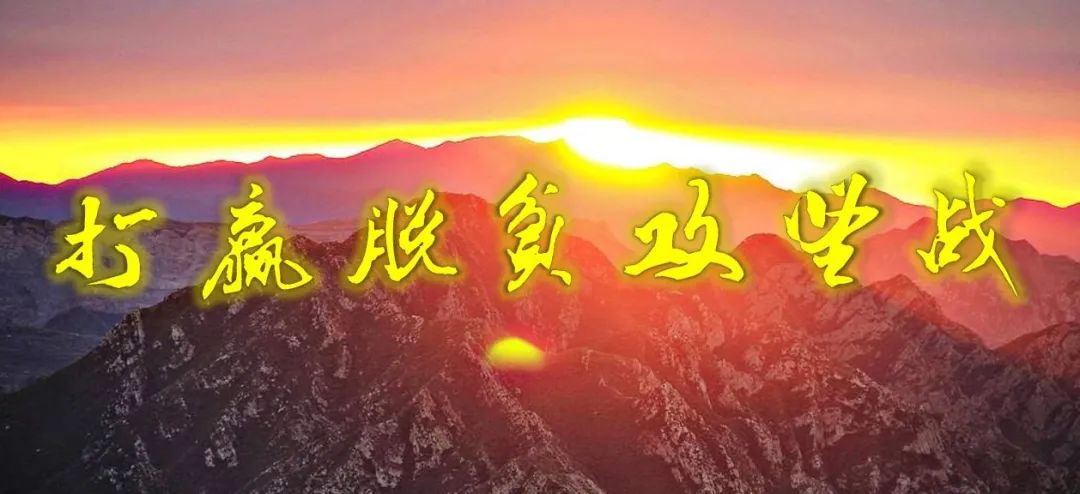 脱贫标准-体会 | 王士龙:脱贫攻坚彰显制度优势和制度自信