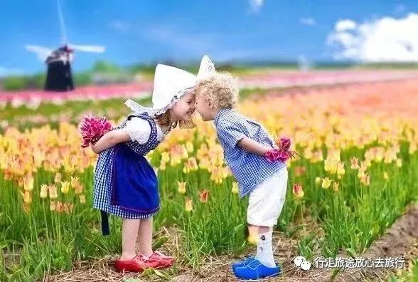 荷兰木鞋-郁金香的国度——荷兰