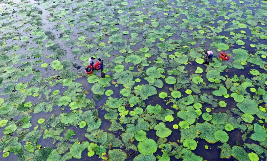 甜食的食物有哪些_我吃过甜津津的什么食物_甜津津的什么食物