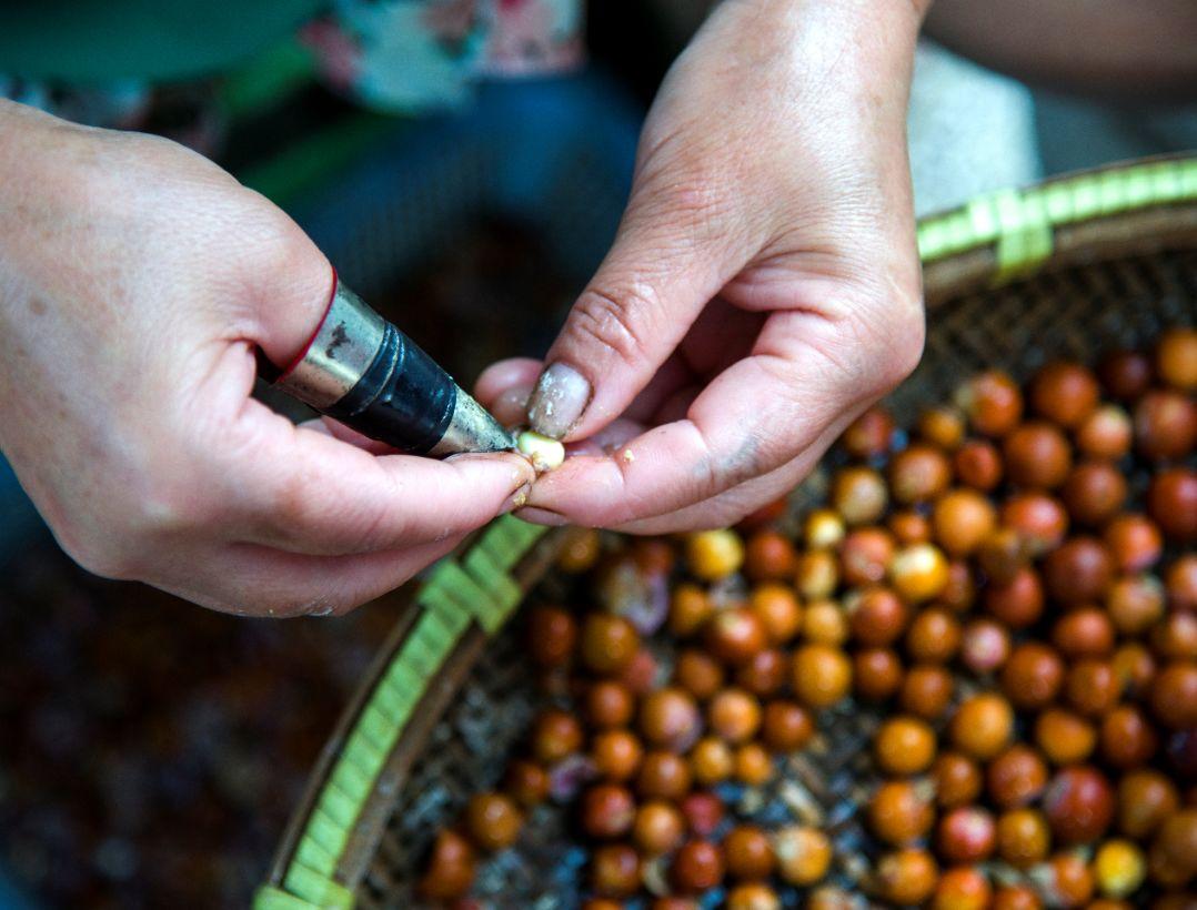 甜津津的什么食物_我吃过甜津津的什么食物_甜食的食物有哪些