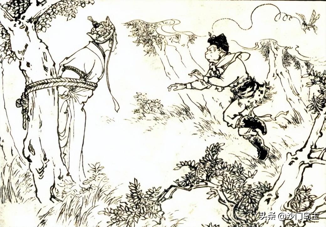 虫蜢飞来头上预兆_蜢虫_虫蜢是什么虫