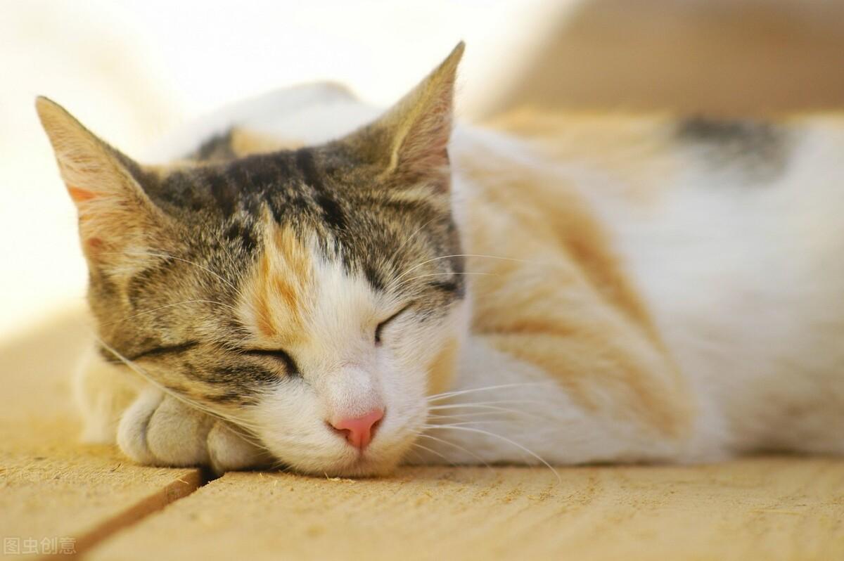 晚上喝咖啡的功效_咖啡好处喝坏处晚上能喝吗_晚上喝咖啡的好处和坏处