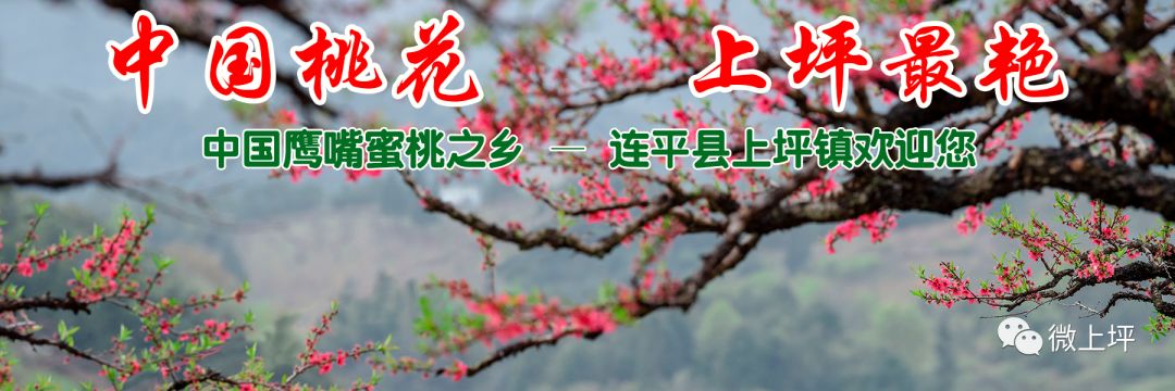 谭咏麟、九连真人、唐朝乐队······等33组重量级音乐人在万绿湖欢歌热舞