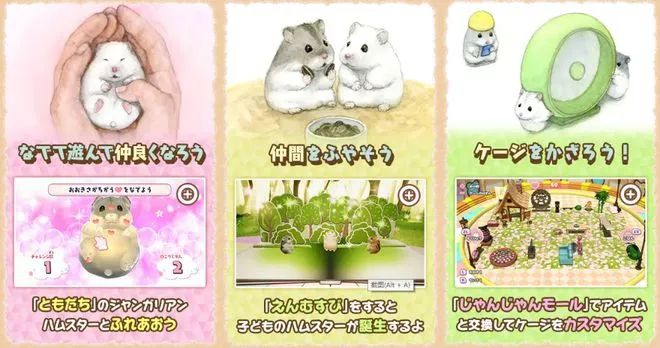 吸猫是什么意思_猫吸是什么意思啊_猫吸是什么词