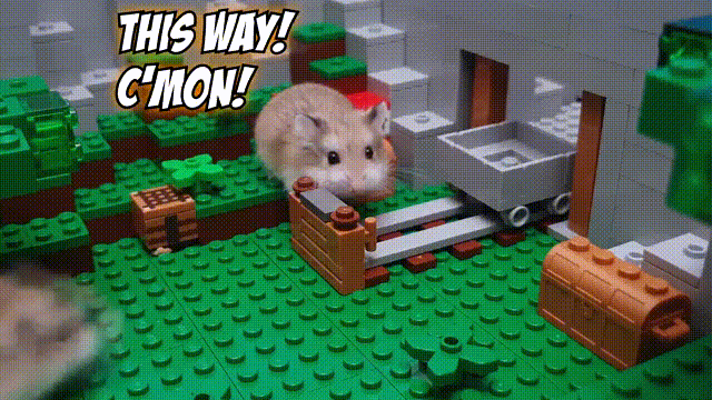 猫吸是什么意思啊_吸猫是什么意思_猫吸是什么词