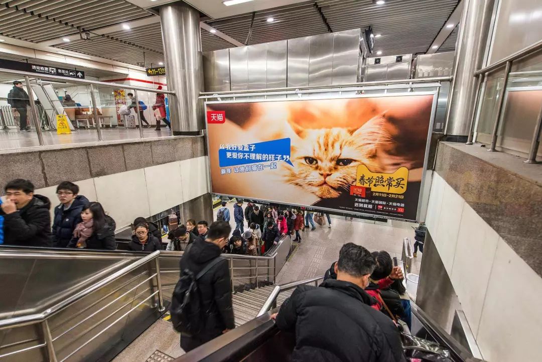 吸猫是什么意思-地铁里就能吸猫，还有这等好事？