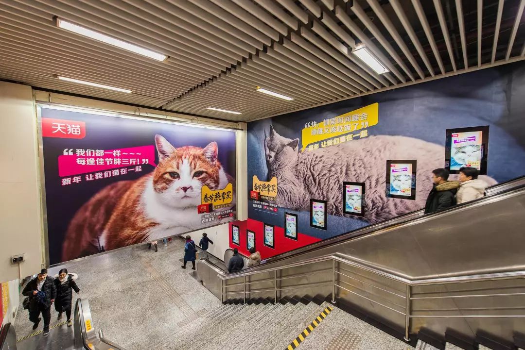 吸猫的时候猫心里在想什么_猫吸是什么意思啊_吸猫是什么意思