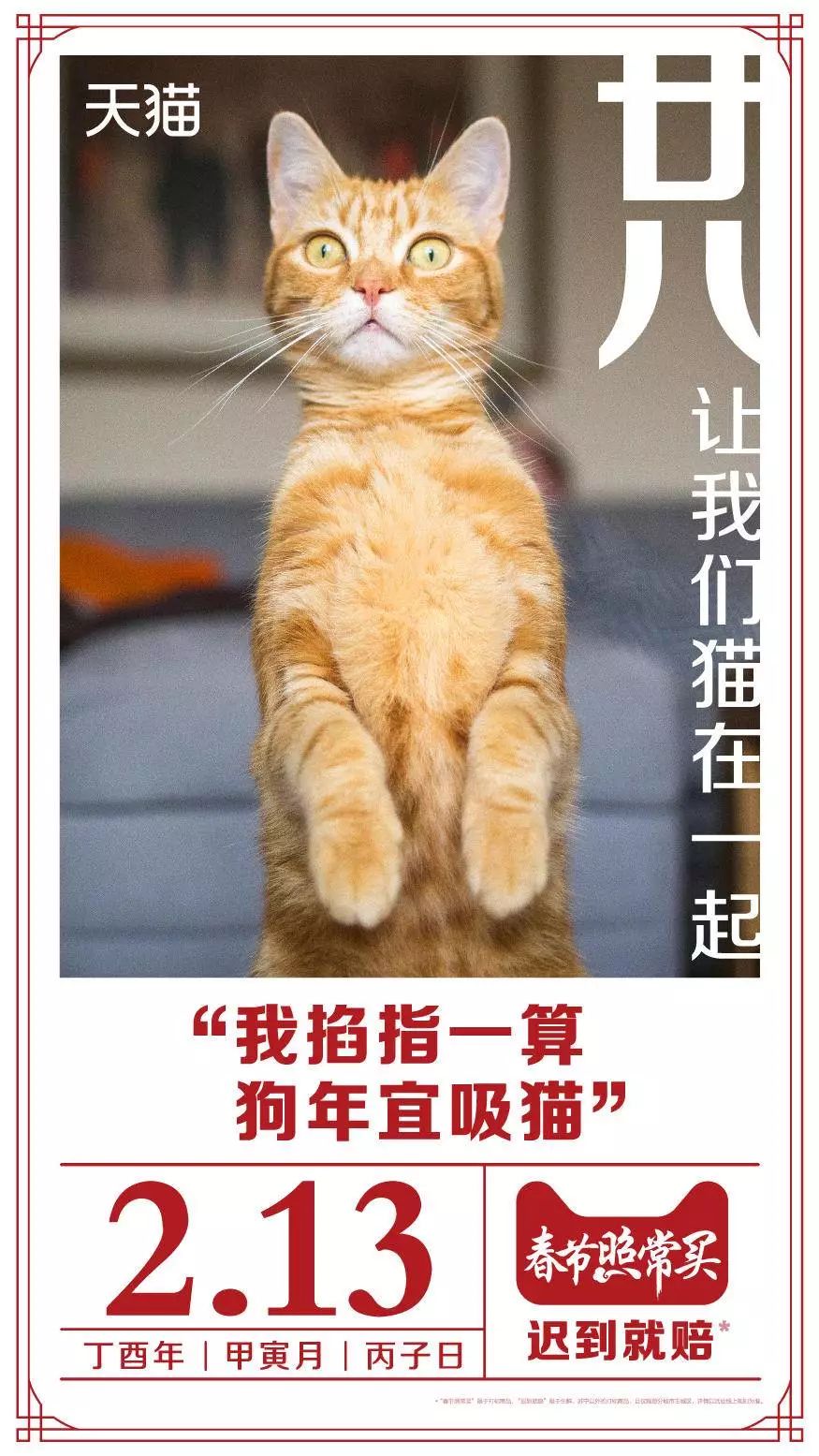 吸猫是什么意思_猫吸是什么意思啊_吸猫的时候猫心里在想什么