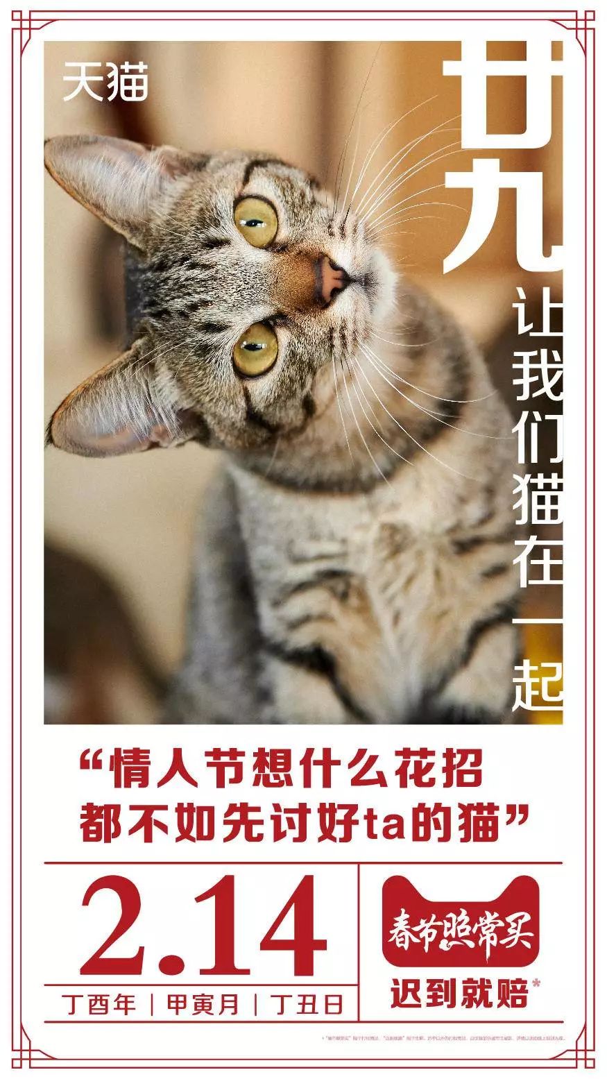 吸猫是什么意思_吸猫的时候猫心里在想什么_猫吸是什么意思啊