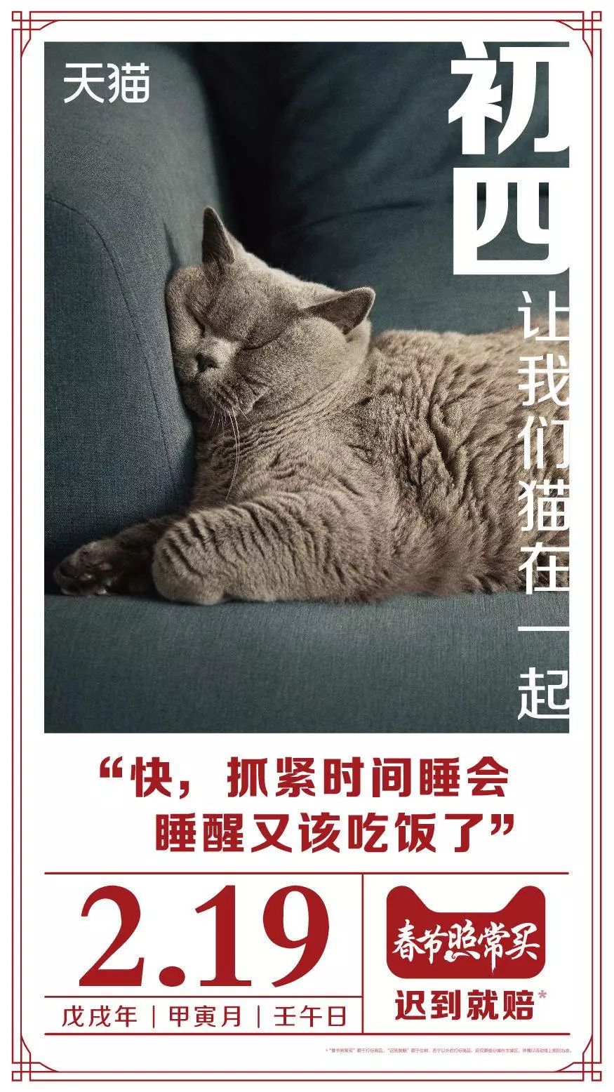 吸猫的时候猫心里在想什么_猫吸是什么意思啊_吸猫是什么意思