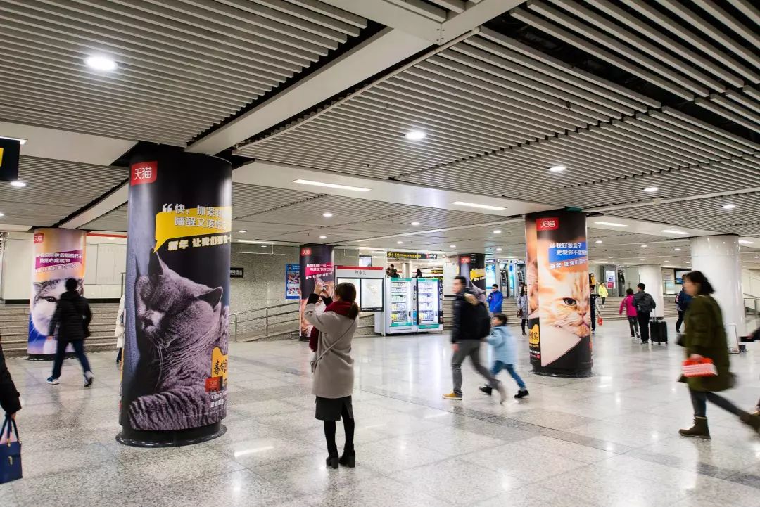 吸猫的时候猫心里在想什么_猫吸是什么意思啊_吸猫是什么意思