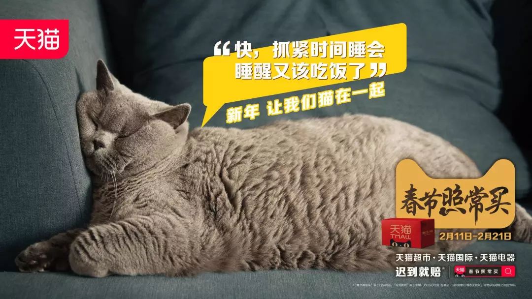 吸猫是什么意思_吸猫的时候猫心里在想什么_猫吸是什么意思啊