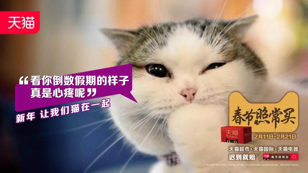 吸猫的时候猫心里在想什么_吸猫是什么意思_猫吸是什么意思啊
