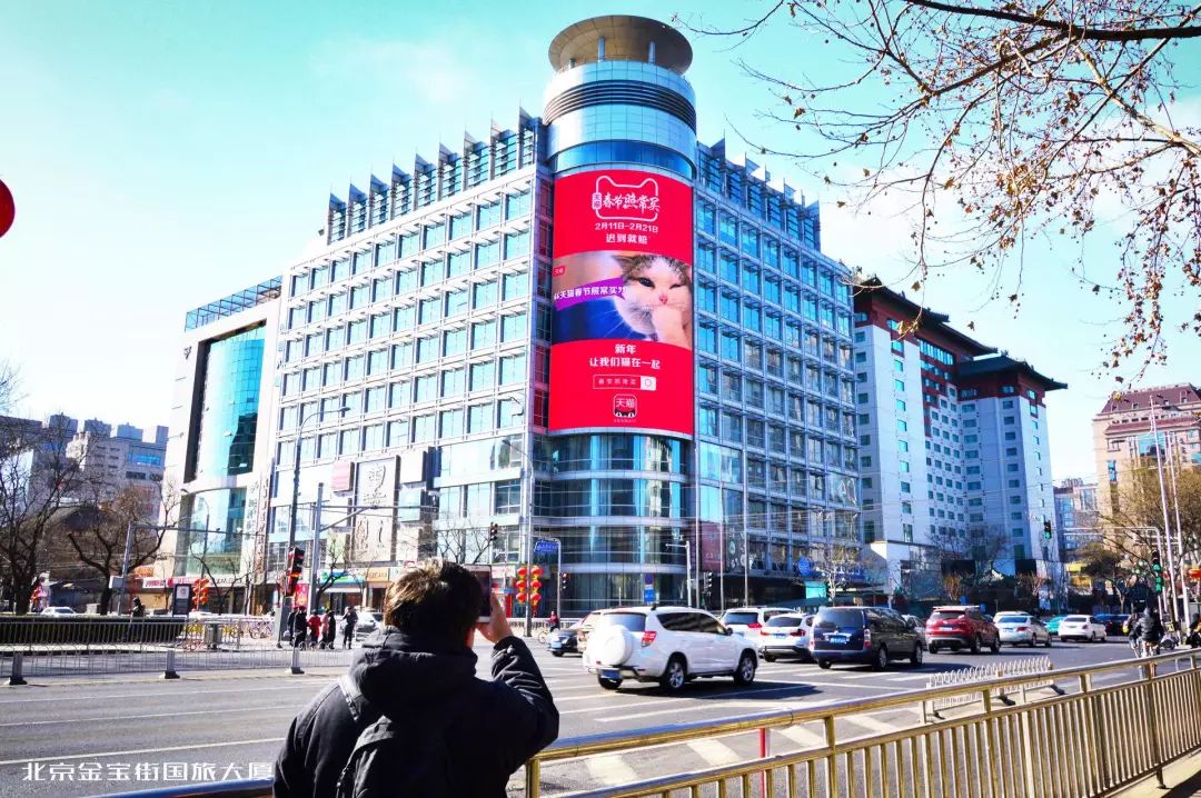 吸猫的时候猫心里在想什么_猫吸是什么意思啊_吸猫是什么意思