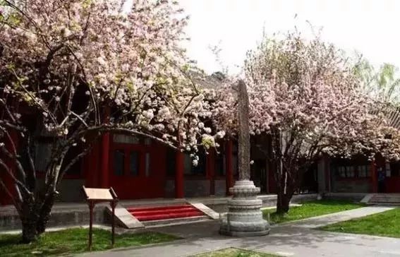 奕欣的恭亲王爵位是_奕欣恭亲王后代_恭亲王奕欣