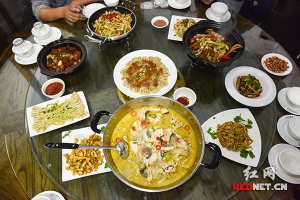 芦笋茶_芦笋茶_芦笋茶