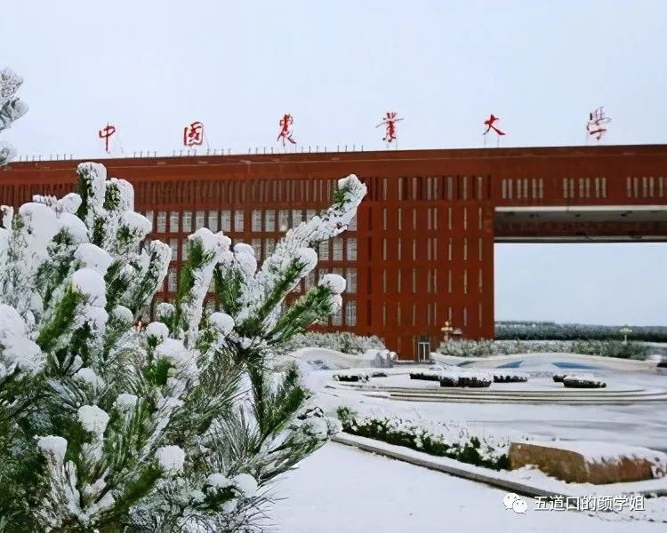 济南大学是211或985_济南大学是211吗_济南大学是211吗是双一流吗