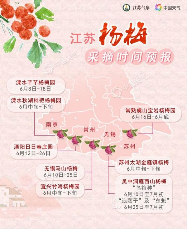 杨梅季节是几月份-初夏杨梅人间至味