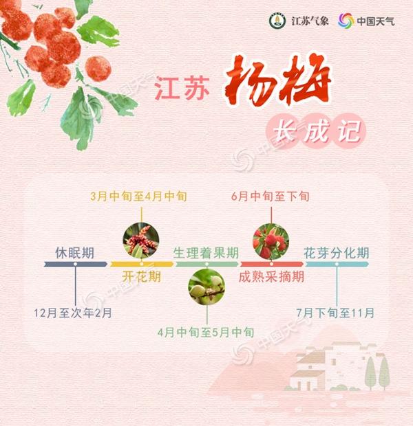 几月份是杨梅季节_杨梅季节是几月_杨梅季节是几月份